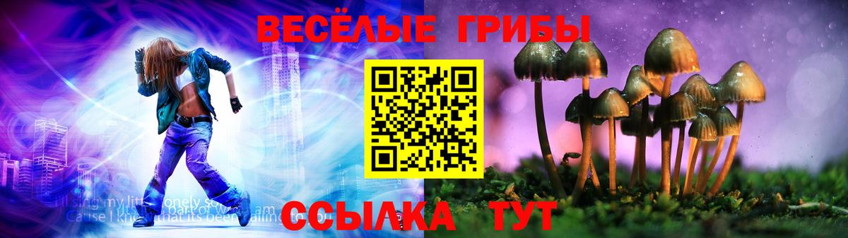 Галлюциногенные грибы ЛСД Звенигород